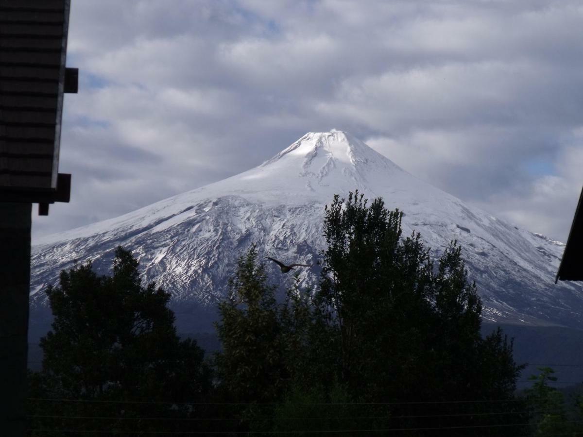 Frontera Pucon Hostel B&B 외부 사진