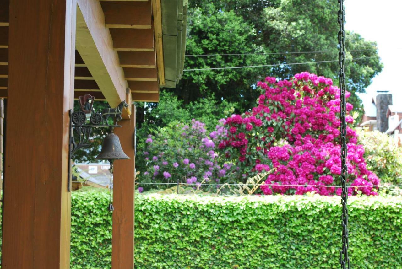 Frontera Pucon Hostel B&B 외부 사진